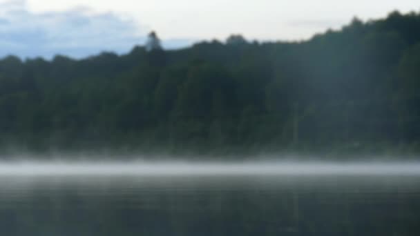 水面に朝霧が立ち込める鬱蒼とした森の隣の湖 — ストック動画
