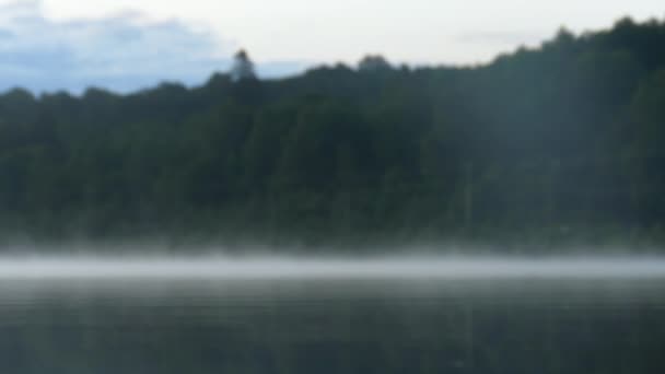 湖畔密林 晨雾弥漫 水面缓缓移动 — 图库视频影像