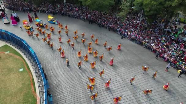 Artistes Dansant Costumes Papillon Défilé Dia Muertos Mexico Vue Aérienne — Video