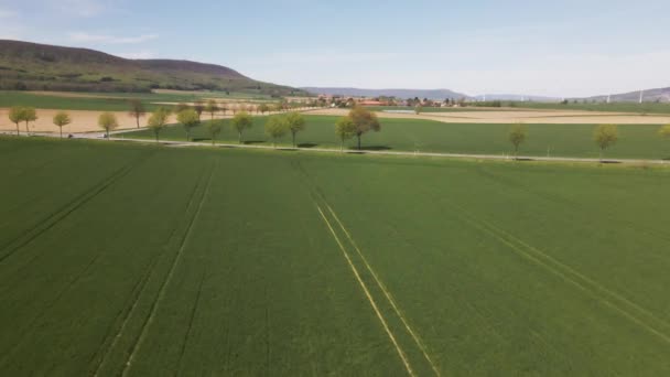 Mouche Drone Dessus Paysage Vert Champ Terrestre Naturel Avec Ciel — Video