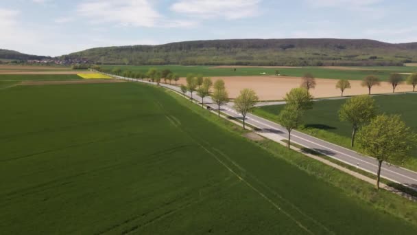 Letecký Pohled Zúženou Asfaltovanou Silnici Krajinářském Regionu Přírodní Zelenou Čistou — Stock video