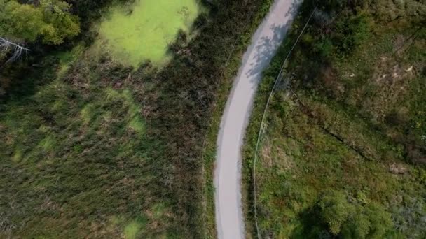 展示了Muskegon自行车道的沼泽部分 — 图库视频影像