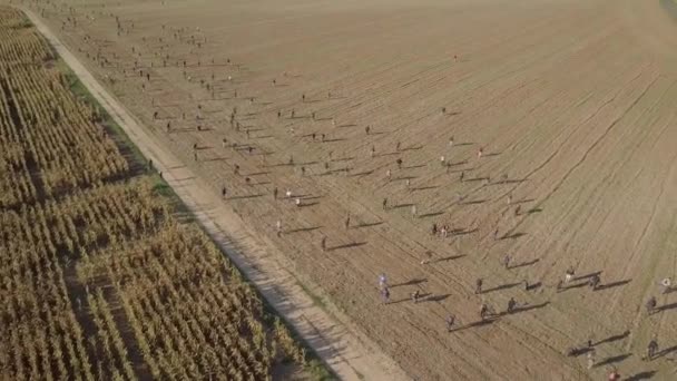 Metal Deteksi Rally Participants Berdiri Dalam Garis Lapangan Orbital Udara — Stok Video