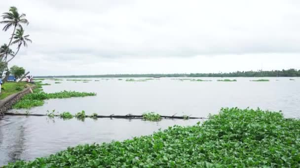 Африканские Водоросли Начинают Течь Реке Текущая Река Дождливое Небо Большие — стоковое видео