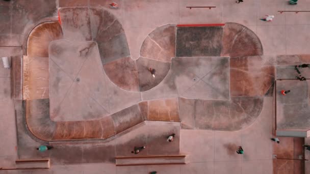 Overhead Shot Board Riders Ericeira Skate Park Special Ground Design — Video Stock