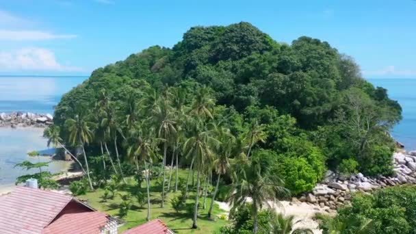 Aérea Cocoteros Isla Tropical Lengkuas Belitung Indonesia — Vídeos de Stock