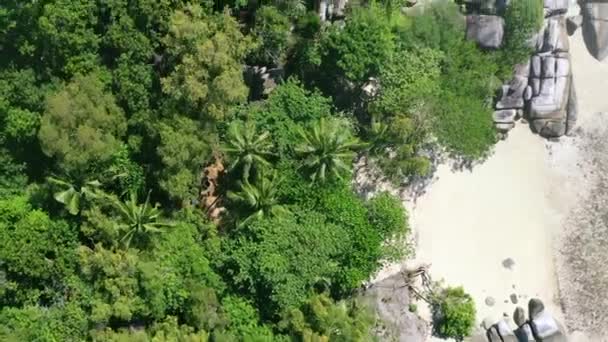 Arriba Aérea Abajo Selva Tropical Playa Arena Blanca Belitung Indonesia — Vídeos de Stock
