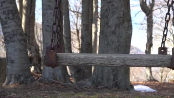 Nahaufnahme Einer Rostigen Holzschaukel Bäume Waldhintergrund Filmmaterial — Stockvideo
