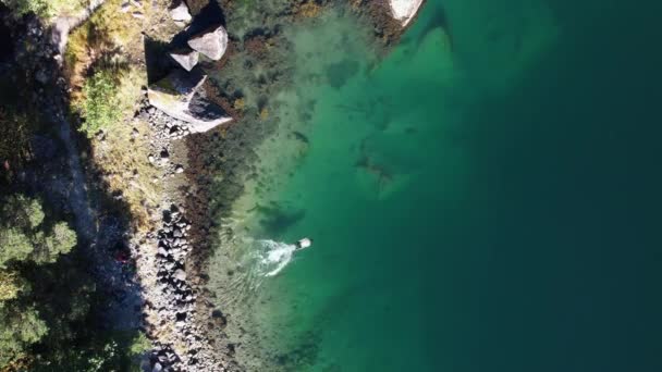 在西马达尔山谷 一名男子在挪威峡湾美丽的碧绿海水中游泳 这是一张自上而下拍摄的照片 — 图库视频影像