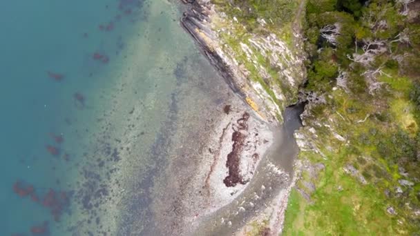 Olho Pássaro Drone Ver Vídeo Uma Foz Rio Ushuaia Patagonian — Vídeo de Stock