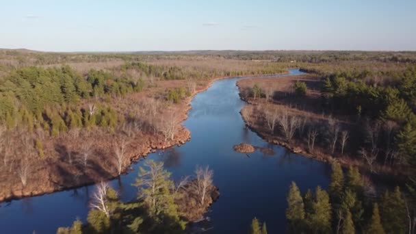 Push Drone River View Înconjurat Pădure Copaci Ora Aur Highlands04 — Videoclip de stoc