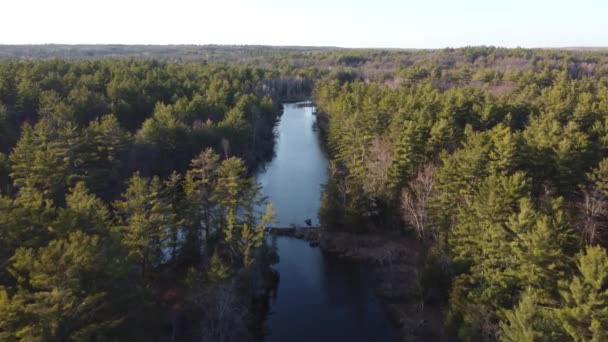 Σπρώξτε Στο Drone Θέα Του Ποταμού Περιβάλλεται Από Δάσος Και — Αρχείο Βίντεο
