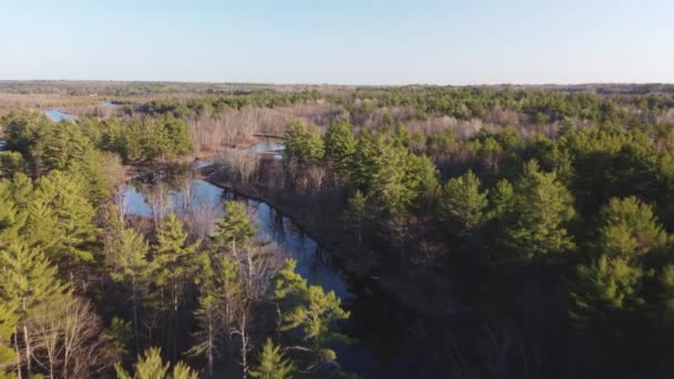 Popchnij Widok Rzekę Dron Otoczony Lasem Drzewami Złotej Godzinie Highlands02 — Wideo stockowe