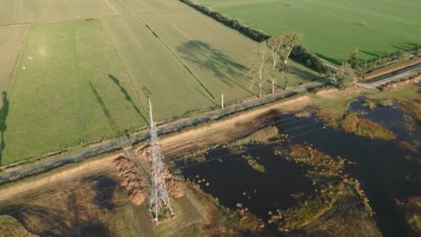Campos Agrícolas Holandeses Con Vacas Bordeando Una Perspectiva Aérea Natural — Vídeos de Stock