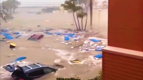 飓风伊恩吹袭佛罗里达州 有车经过的房屋 透过玻璃窗望去 刮起了大风 — 图库视频影像