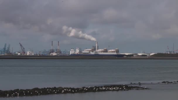Kijkend Het Water Vanuit Hoek Van Holland Richting Fabrieken Schoorsteendokken — Stockvideo