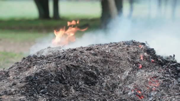 全球暖化导致一堆堆死草着火的特写镜头 — 图库视频影像