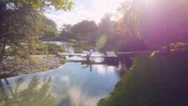 白人の成人男性はヨガをし 緑豊かな庭園公園の小さな池の上に木製の橋の上に広がっています 劇的な太陽のフレア 素晴らしい反射とワイドショット — ストック動画