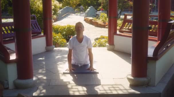 Hombre Adulto Caucásico Practica Yoga Alrededor Del Ambiente Está Templo — Vídeos de Stock