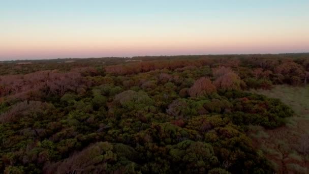 Aerial Pôr Sol Florestas Torno Mar Chiquita Lago Salgado Córdoba — Vídeo de Stock