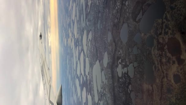 Vertikale Aufnahme Durch Flugzeugfenster Von Kleinen Seen Wapusk National Park — Stockvideo