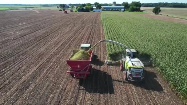 Egy Észak Wisconsini Tenyésztési Művelet Során Kukoricát Darabolnak Gyűjtenek Szilázshoz — Stock videók