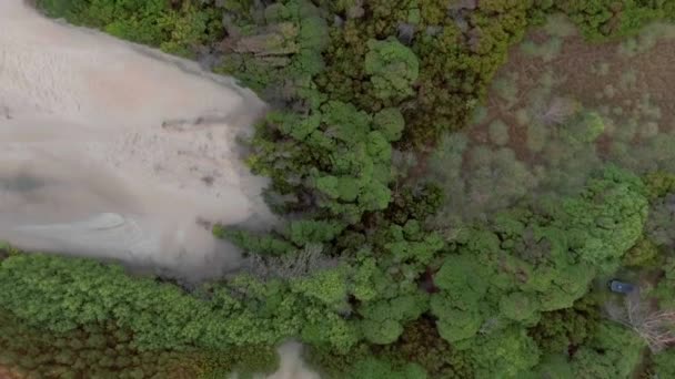 Aerial Floresta Torno Mar Chiquita Lago Salgado Córdoba Argentina Cima — Vídeo de Stock