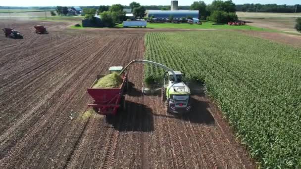 Farming Operation Wisconsin Chops Collects Corn Silage — Stock Video