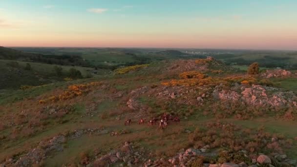Aerial Gauchos Και Άλογα Στο Ηλιοβασίλεμα Κοντά Στο Tandil Αργεντινή — Αρχείο Βίντεο