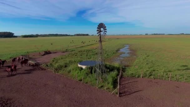 Aerial Άλογα Ένα Αγρόκτημα Δίπλα Στον Ανεμόμυλο Mercedes Αργεντινή Περιστρεφόμενη — Αρχείο Βίντεο