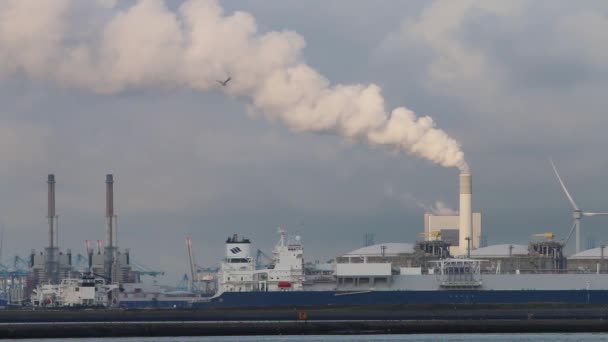 Commercial Docks Chimney Emitting Steam Smoke Seen Water Hook Holland — Stock Video