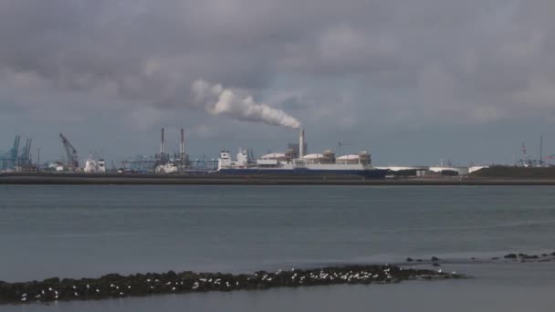 オランダのフックから水路を渡って見える商業用ドックと船 オランダ — ストック動画