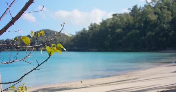 Ruhiges Wasser Einer Tropischen Inselbucht Bei Tageslicht — Stockvideo