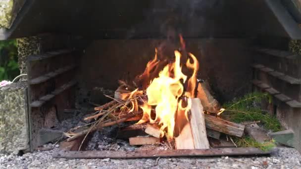 炭のグリルの中の小さな火の中に蒸留酒を注ぎ 炎はすぐに大きくなります 危険な火災 — ストック動画