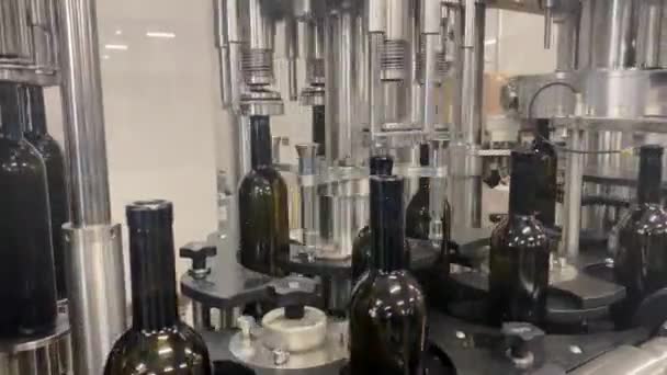 Vinflaskor Som Märks Automatiserad Maskinprocess Fabriken — Stockvideo