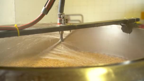 Lavando Grano Los Cerveceros Para Sacar Último Azúcar Proceso Elaboración — Vídeo de stock