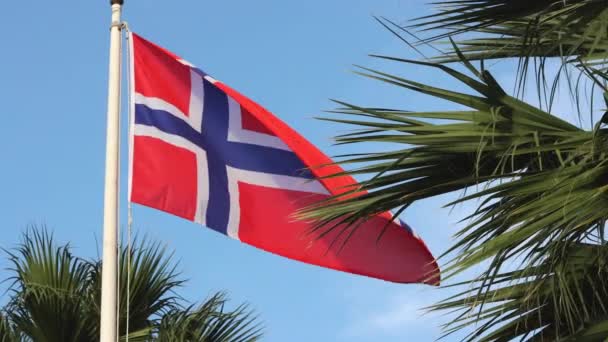 Norwegische Flagge Weht Langsam Wind Gegen Blauen Himmel Palme Vordergrund — Stockvideo