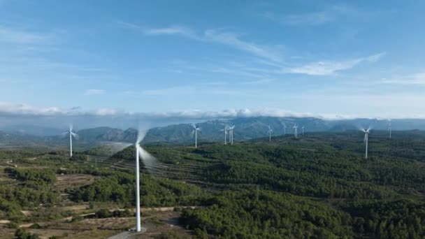 在一个绿色的森林和美丽的蓝天的风力涡轮机农场上滑倒 — 图库视频影像