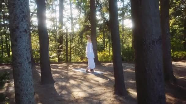 남자는 빛으로 소나무 위에서 카메라 — 비디오