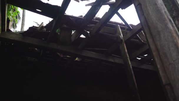 Rozpadający Się Stary Budynek Rozbity Dach Pełen Mchu Pleśni Strzał — Wideo stockowe