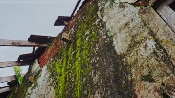 Разваливающееся Старое Здание Стена Начала Рушиться Полная Мха Плесени Сломанная — стоковое видео