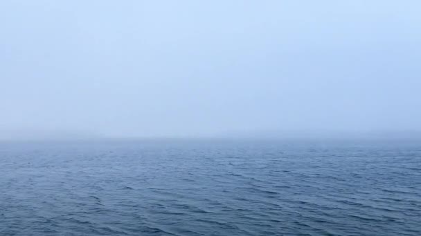 Brouillard Sur Eau Offrant Une Vue Spectaculaire Mystérieuse — Video
