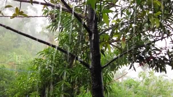 Bardzo Obfite Deszcze Spadające Filipiny Sezonie Monsunowym — Wideo stockowe