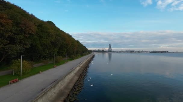 Přední Dron Letu Podél Pobřeží Baltského Moře Pěšinou Lesem Krásné — Stock video