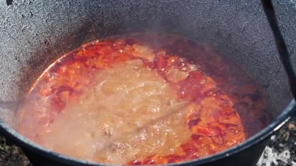 Vista Alto Ângulo Goulash Cozinhar Livre Sobre Fogo Panela Ferro — Vídeo de Stock