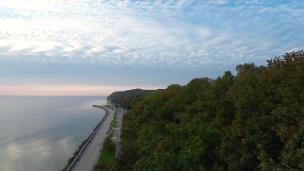 Wolny Lot Pobliżu Wierzchołków Drzew Gdynia Boulevard Wschodzie Słońca — Wideo stockowe