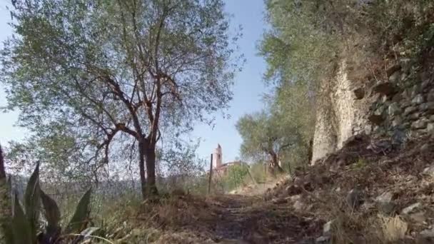 Slowmotion Gyönyörű Prel Castello Olaszország Körül Olajfák Középponti Kilátás Nyílik — Stock videók