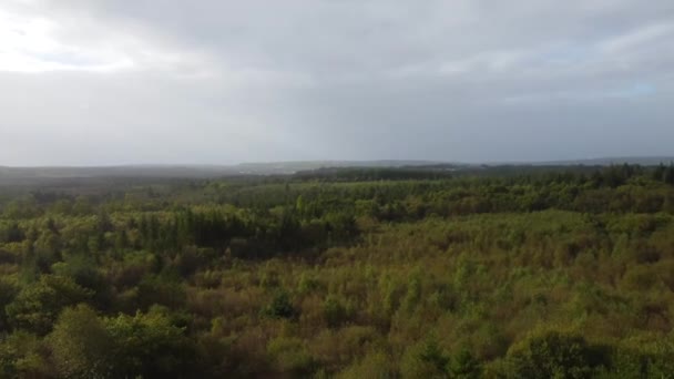 英国南威尔斯有浓密森林的快速俯瞰空中风景和有戏剧性云彩天空的太阳耀斑 无人机图像4K — 图库视频影像