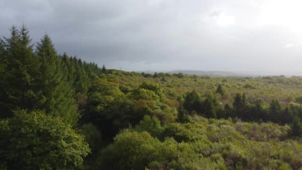 Воздушный Вид Лес Драматичным Солнечным Светом Сквозь Облака Южном Уэльсе — стоковое видео