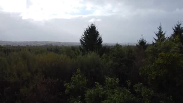 Forest Reveal Sorawling Countryside Landscape Hazy Hills Distance South Wales — Αρχείο Βίντεο